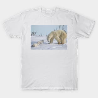 Mother polar bear watching over her two newborn cubs T-Shirt